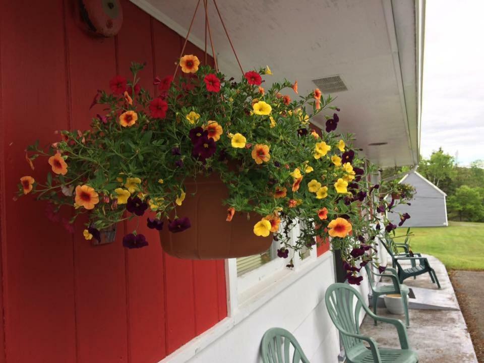 Webbers Lake Charlotte Motel Queen And Double Bed 외부 사진